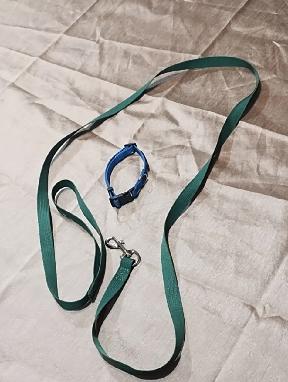Top Paw Green Leash with Blue Collar Small Dog Never Used.